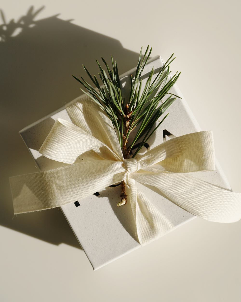 NURA balenie na Vianoce - biela škatuľa s bavlnenou stuhou a kúskom borovice